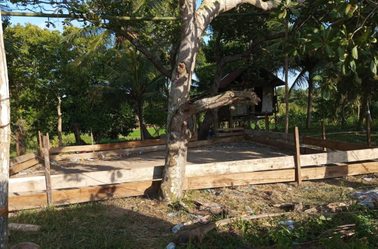 Sabung Ayam Kembali Marak di Bulo Sidrap, BNRI Minta Kapolres Turun Tangan