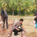 Sinergi Polres Majene dan Rutan Majene Dukung Ketahanan Pangan, Lahan Baru Kelompok Tani Antrabes Siap Ditanami
