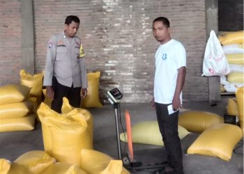 Kawal Program Ketahanan Pangan, Bhabinkamtibmas Polsek Sendana Distribusi Jagung Hasil Panen ke Bulog