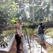 Dukung Ketahanan Pangan, Bhabinkamtibmas Polsek Banggae Kontrol Kebun Cabai P2B di Baruga Dhua