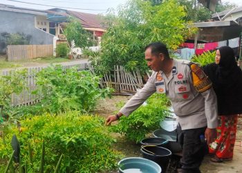 Bhabinkamtibmas Polsek Banggae Aktif Sambang Warga, Dorong Ketahanan Pangan Lewat Kebun Pekarangan Warga