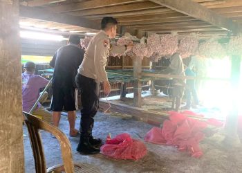 Perkuat Ketahanan Pangan, Bhabinkamtibmas Polsek Pamboang Sambangi Petani Bawang di Ulu Balombong