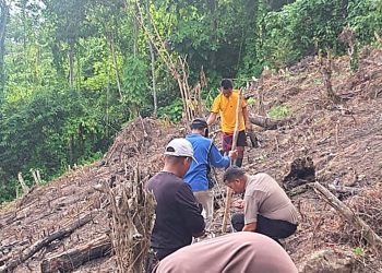 Gerakan Tanam Jagung di Malunda, Polsek Malunda dan Petani Kompak Dukung Program Ketahanan Pangan Nasional