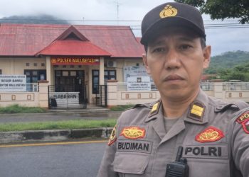 Aktivitas Sabung Ayam di Barru Disorot, Polisi Tegaskan Tidak Ada Pembiaran