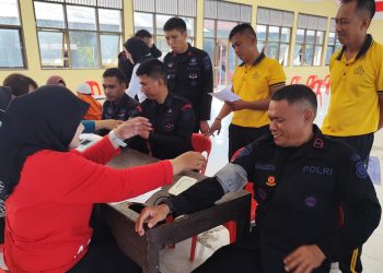 Sinergi Posyandu Batalyon B Pelopor dan Puskesmas Lumpue, Cek Kesehatan Personel dan Balita