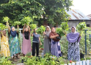 Bhabinkamtibmas Polsek Banggae Pantau Kebun Hortikultura KWT Mawar, Pekarangan Jadi Sumber Pangan
