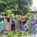 Bhabinkamtibmas Polsek Banggae Pantau Kebun Hortikultura KWT Mawar, Pekarangan Jadi Sumber Pangan