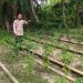 Semangat Ketahanan Pangan, Bhabinkamtibmas Polsek Banggae Sambangi Kebun Cabai KWT Cinna