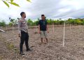 Dukung ketahanan Pangan, Bhabinkamtibmas Polsek Banggae Tinjau Lahan Siap Tanam Kelompok Tani Sirannuang di Labuang Utara