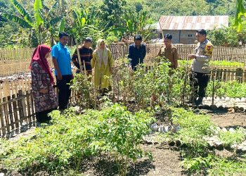 Bhabinkamtibmas Polsek Pamboang Bersinergi dengan Dinas Pertanian, Kebun Dasawisma Adolang Dhua Jadi Penguat Ketahanan Pangan