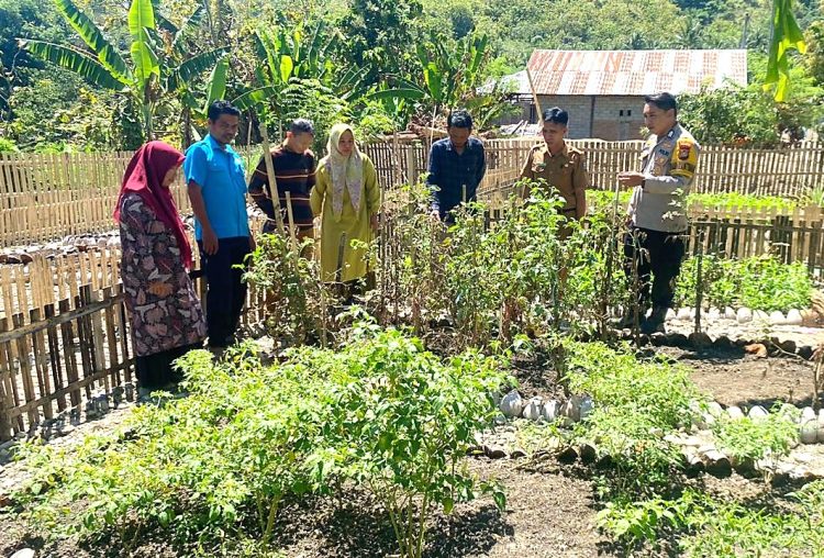 Bhabinkamtibmas Polsek Pamboang Bersinergi dengan Dinas Pertanian, Kebun Dasawisma Adolang Dhua Jadi Penguat Ketahanan Pangan