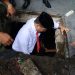 Genangan Air Kerap Terjadi, Tasming Hamid Pastikan Penanganan Drainase Jadi Prioritas Pemkot