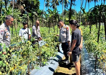Dukung Ketahanan Pangan, Bhabinkamtibmas Polsek Malunda dampingi Satuan Binmas Polres Majene Pantau Lahan P2B Kelompok Tani Salu Paondo