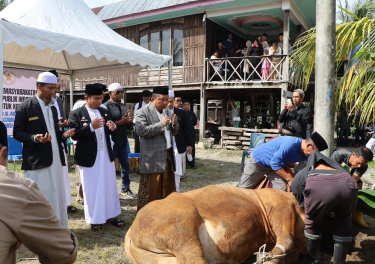 Warga Rasakan Manfaat Sapi Kurban Presiden Prabowo, Tasming Hamid Serahkan Langsung Kepada Warga Watang Bacukiki
