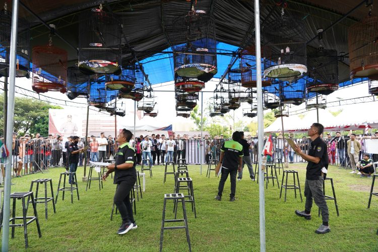 Ratusan Peserta Padati Adu Suara Merdu Burung, Kicau Mania Semarakkan HUT Bhayangkara ke-80 di Polda Sulbar